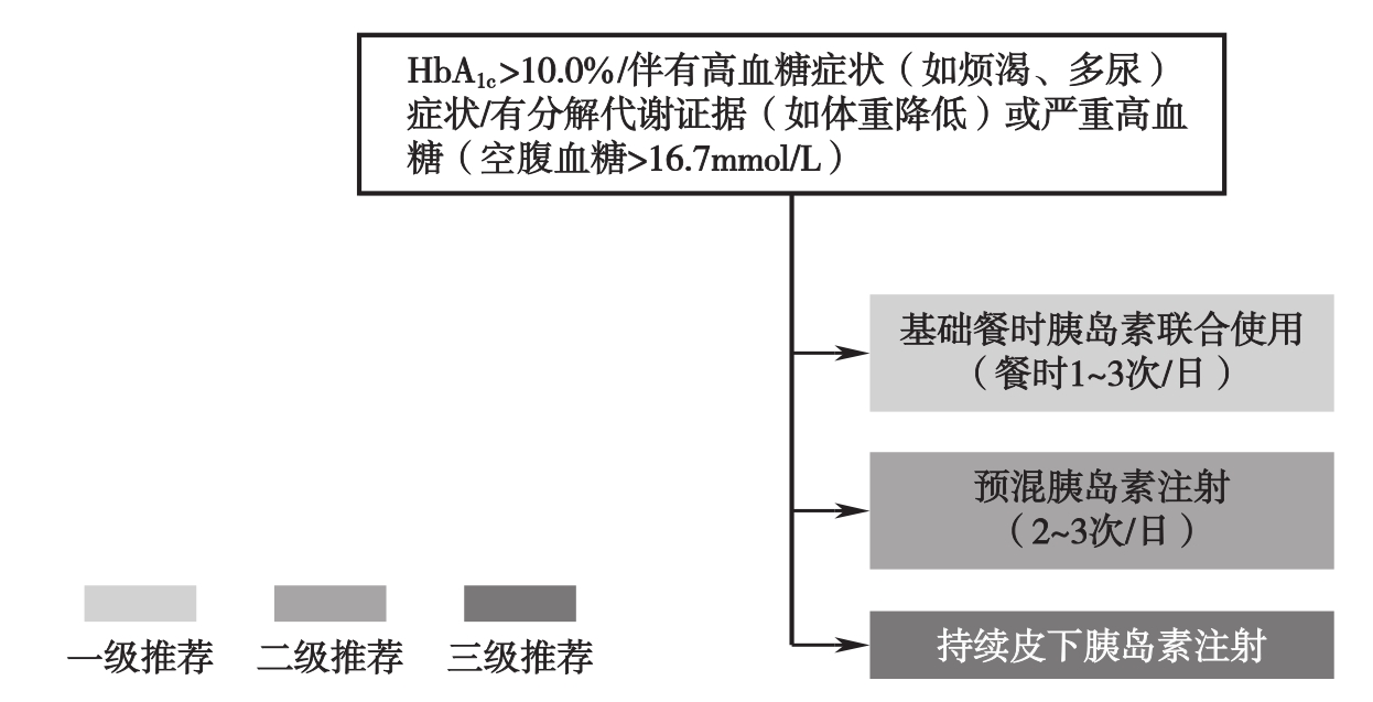 图3 老年T2DM患者短期胰岛素治疗路径图.jpg